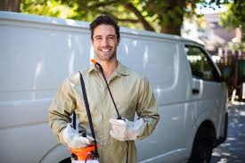 Best Termite Inspection and Treatment  in Bellevue, MI